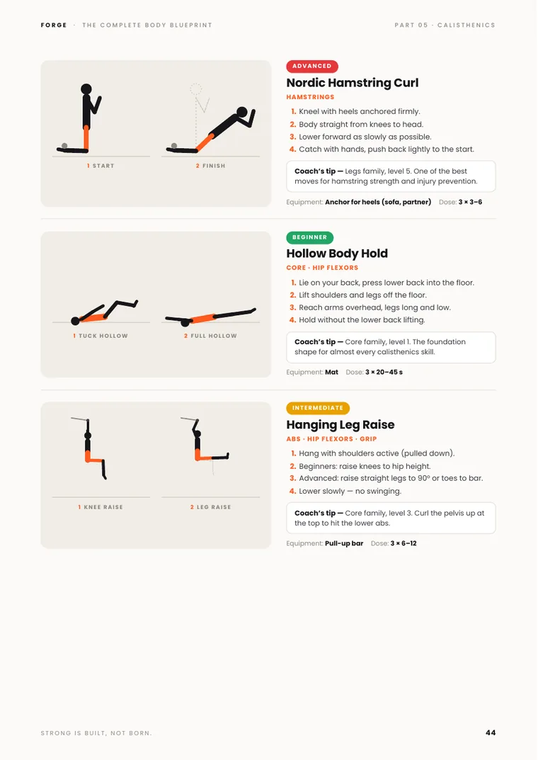Calisthenics progressions page