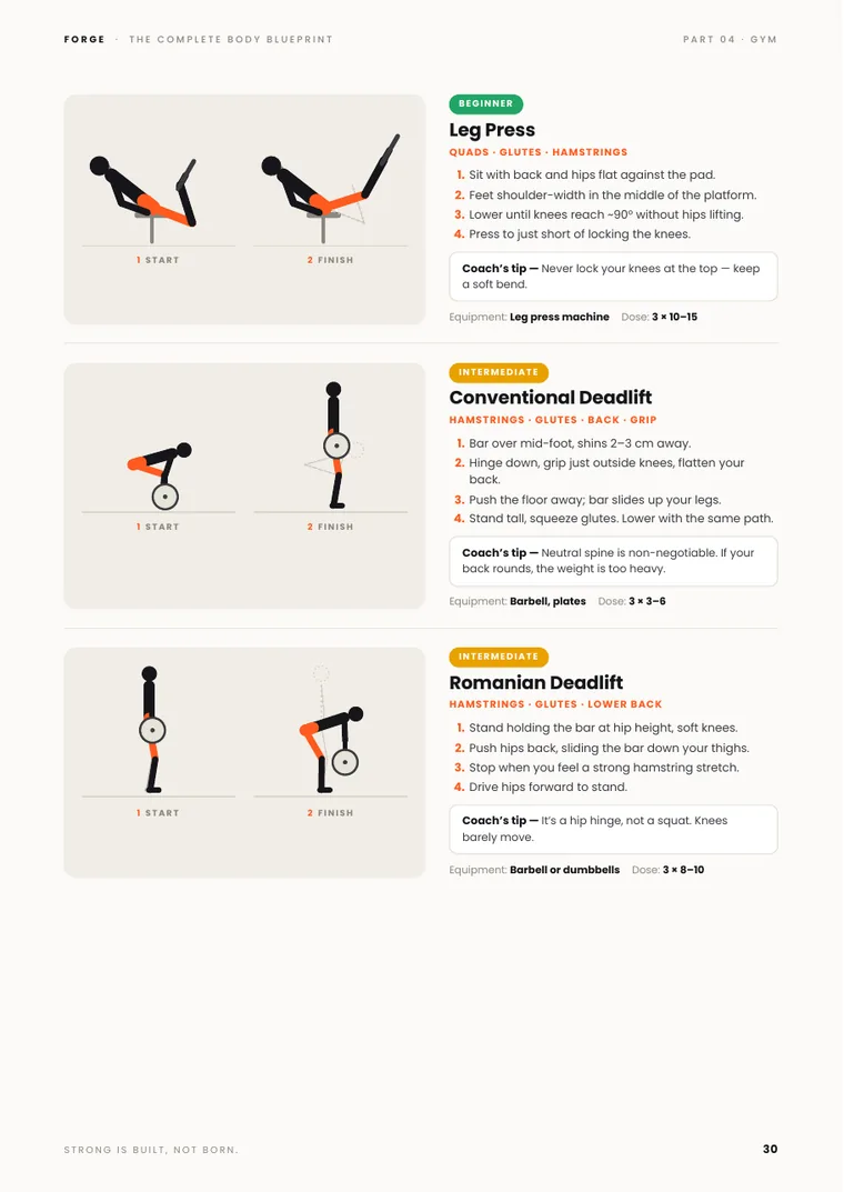 Gym exercise page
